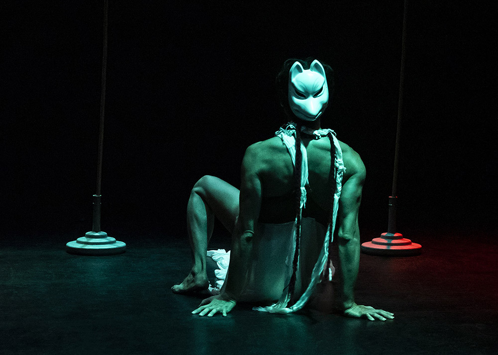 《籠子裡的白狐》