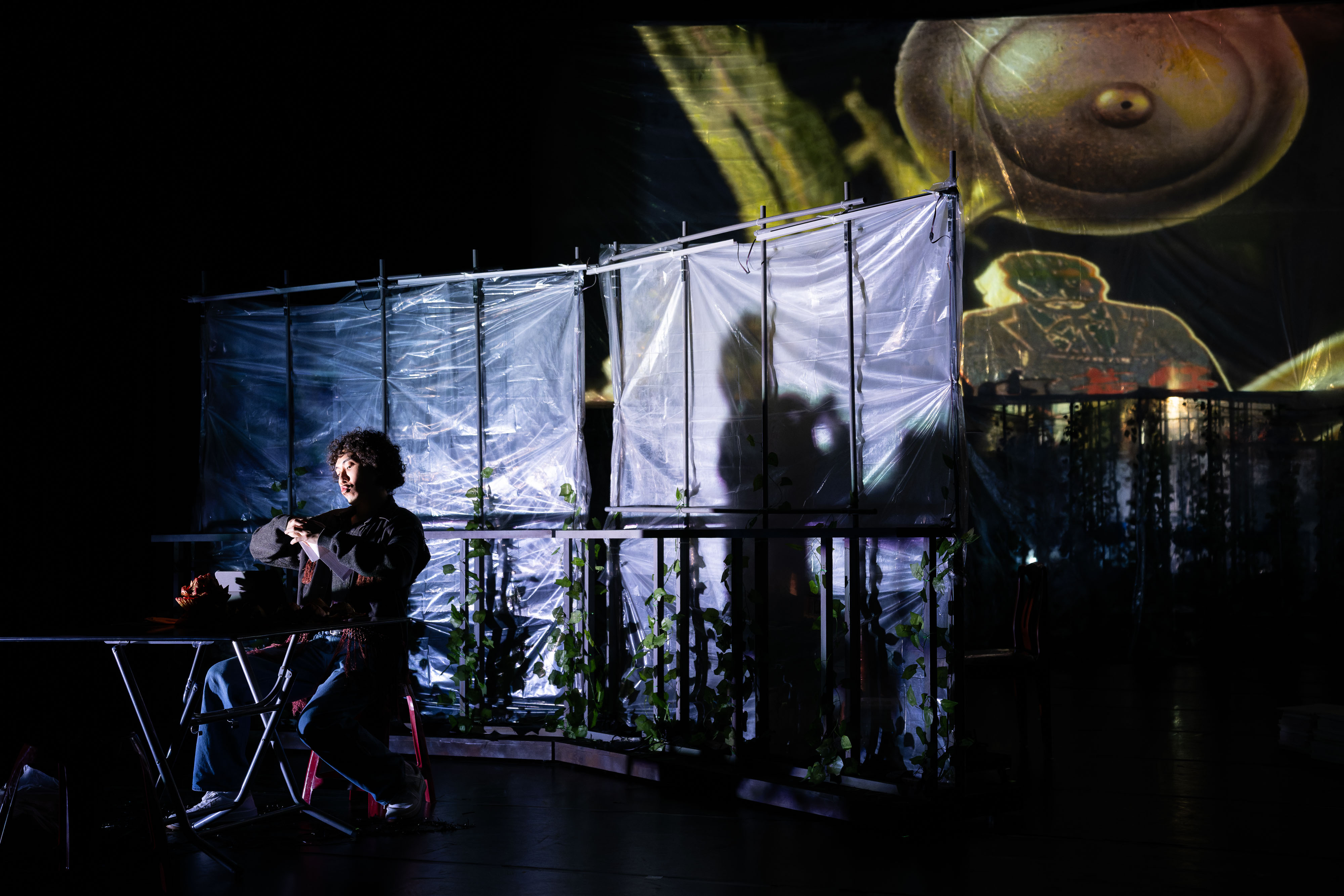 一个郁郁不得志的同志小说家倪安邦，回到久未回归的故乡，却遭遇身为农业专家的父亲离奇过世，生前尚未发表的最新品种作物成为人人争抢的重要智慧财。